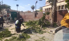 حملات نظافة وتجميل بالحي