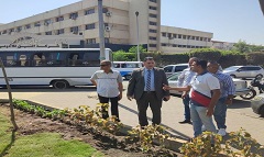 زيادة الرقعة الخضراء بنطاق الحي للحد من مخاطر الاحتباس الحراري 