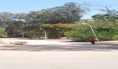 حملة لرفع كفاءة منظومة الإنارة ببعض شوارع الحي