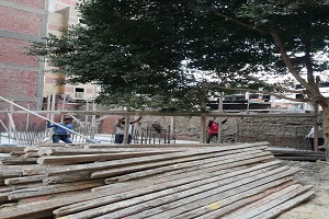 ازالة شدة خشبية فى المهد بعزبة نصار