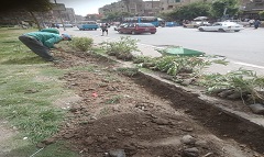 زراعة أسوار ميدان باب الشعرية