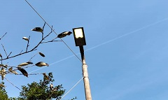 مراجعة الانارة بشارع محلات السلام بنطاق الحي  