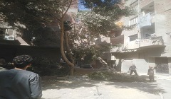 تقليم الأشجار بمجاورة ٧ في منطقة المشروع الأمريكي بالحي