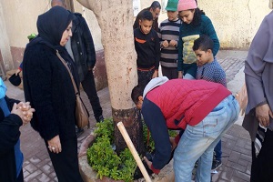 انطلاق مبادرة ازرع شجرة مثمرة في حلوان