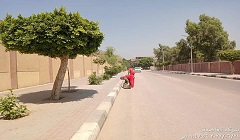 حملات لتكثيف أعمال النظافة والتجميل وخلق بيئة نظيفة وحضارية
