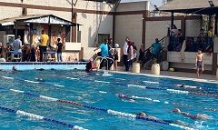 مركز شباب روض الفرج يقيم اختبارات بدنية ومهارية للسباحين