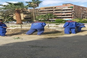 حي المعادي يقوم بحملات نظافه لتوفير بيئه آمنه خاليه من التلوث