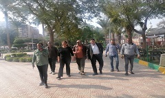 رفع كفاءة المسطحات الخضراء بنطاق الحي 