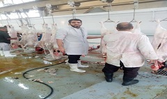 محافظ القاهرة: انتظام العمل بمجزر 15 مايو بعد تجهيزه بأعلى المعايير