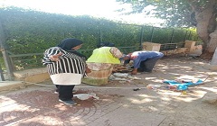 حملة لتمشيط ورفع الاشغالات والتعديات من فوق كوبري حندوثه