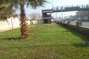 نظافة طريق الأوتوستراد 