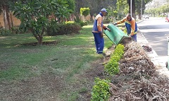 رفع كفاءة منظومة النظافة ببعض الشوارع بالحي