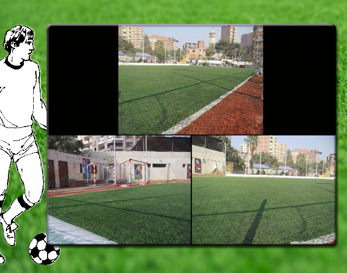 معرض صور مركز شباب المعادي 77 - Image 2