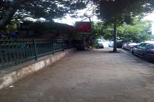 حملة نظافة وتشجير موسعة بحي المعادى