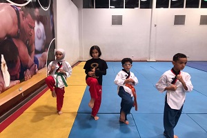 مركز شباب الجزيرة : خطة مواعيد تدريبات لعبة التايكوندو لشهر نوفمبر