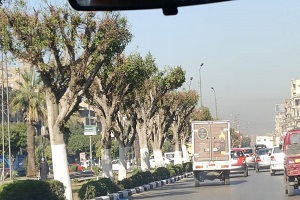  أعمال تطوير بالجزيرة الوسطى