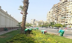 الاهتمام بالمساحات الخضراء بنطاق الحي