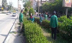 رئيس الحي يتفقد أعمال قص وتهذيب أسوار شارع الجزائر بالكامل