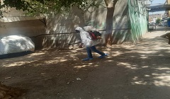 رش وتطهير سوق كفر العلو بالمطهرات اللازمة للوقاية من الأمراض 
