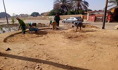 حملة لرفع كفاءة المسطحات الخضراء بالحي