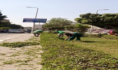 رفع كفاءة المسطحات الخضراء بالحي