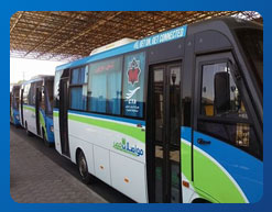 مشروع شركات النقل الجماعي 