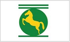 العيد القومي لمحافظة الشرقية