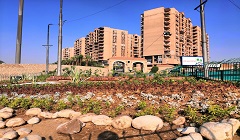 رفع كفاءة المثلث بطريق مدينة نصر