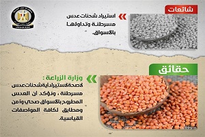 الحقيقة وراء شائعة استيراد شحنات عدس مسرطنة