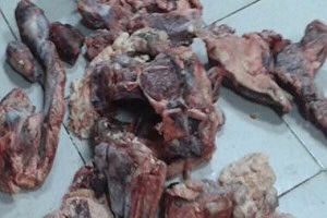حي المقطم يحرر محضرًا ضد مطعم شهير لعدم وجود شهادة صحية للعاملين