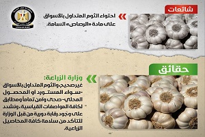 حقيقة إحتواء الثوم المتداول بالأسواق على مادة "الرصاص" السامة