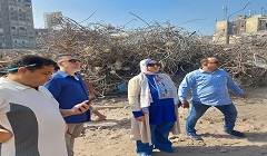 مرور ميداني على منطقة السبتية