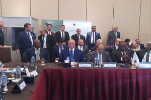 محافظ القاهرة يؤكد على أهمية التعاون بين المدن الإفريقية