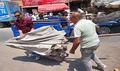 حملة مكبرة لرفع الإشغالات بشارع مؤسسة الزكاة