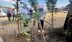 مركز شباب الساحل يشارك بزراعة 300 شجرة بمبادرة زراعة الأشجار