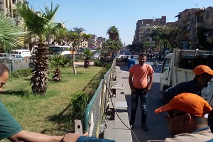 اعمال تهذيب وتقليم الاشجار