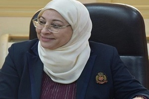 نائب المحافظ: تم تطهير وتعقيم منطقة عرب غنيم بحلوان