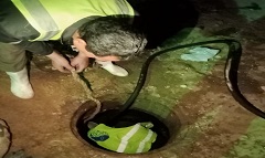 تسليك وتطهير بالوعات الأمطار والصرف الصحي بمساكن العبد ١٦٦٠