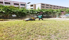 حملات لقص وتقليم الأشجار وايقاف اعمال البناء المخالف