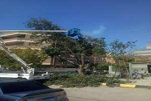 صيانة وتطوير المسطحات الخضراء بحي مصر الجديدة