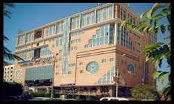 فلوريدا مول