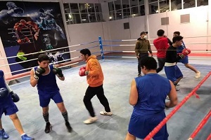 مركز شباب الجزيرة يعلن موعد تدريبات الملاكمة خلال شهر فبراير