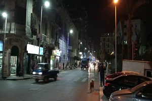 تركيب لمبات تجميلية بشوارع الحي