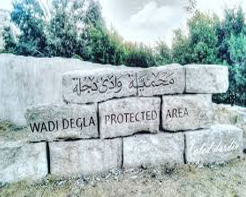 القاهرة العلاجية والبيئية - Image 3