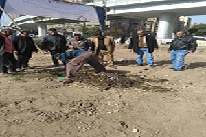 رفع كفاءة وتجميل الحدائق  بنطاق حى الساحل