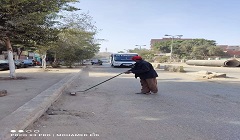 حملات نظافه لمتابعة أعمال التشجير والمسطحات الخضراء بالمدينه