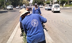 رفع كفاءة منظومة النظافه بطول الطريق بكورنيش النيل 