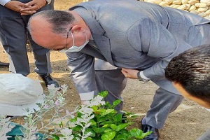 محافظ القاهرة يزرع أول شجرة لتطوير وتجميل الجزيرة الوسطى بصلاح سالم