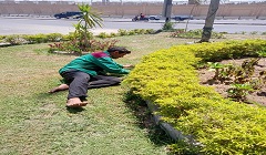 تشجير وتجميل المدارس استعدادًا لبدء العام الدراسي الجديد