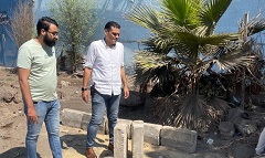 زيادة المسطحات الخضراء بنطاق الحي 